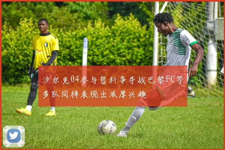 沙尔克04参与哲科争夺战巴黎FC等多队同样表现出浓厚兴趣